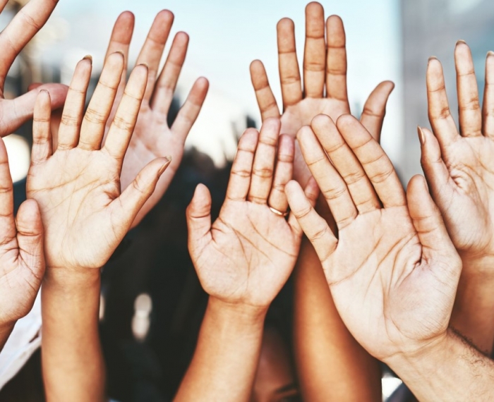 Volunteers raise their hands to say YES